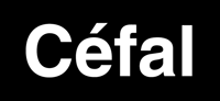 logo CEFAL