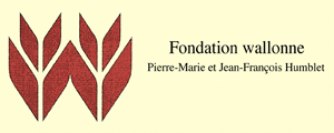 logo FONDATIONWALLONNE
