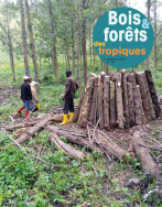 Bois & forêts des Tropiques n°357