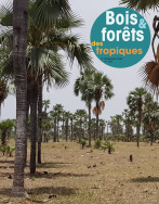 Bois & Forêts des Tropiques n°353