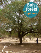 Bois & forêts des Tropiques n°354