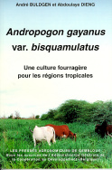 Andropogon gayanus var. bisquamulatus. Une culture fourragère pour les régions tropicales